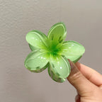 Hawaii Blomst Hårklype — Gradient